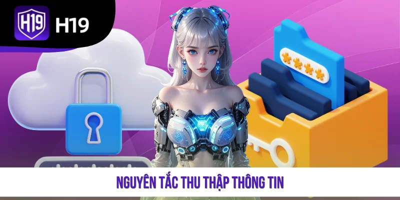 Nguyên tắc thu thập thông tin