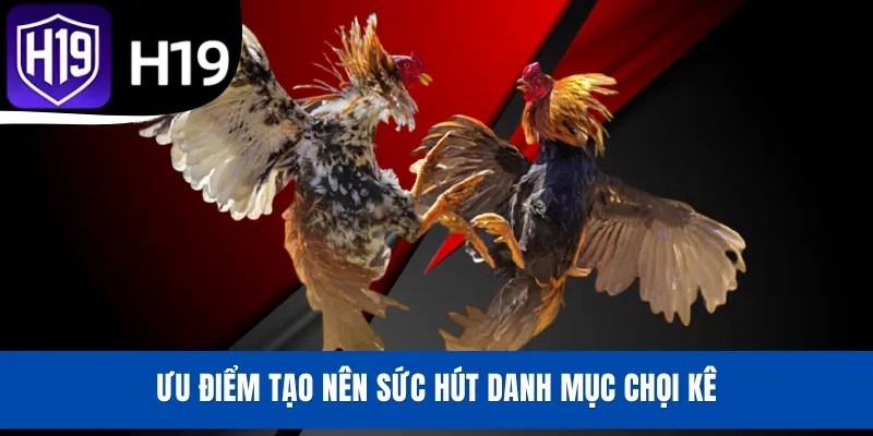 Ưu điểm tạo nên sức hút danh mục chọi kê